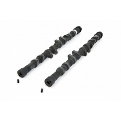 Piper Camshaft Rover K Series 16v Race