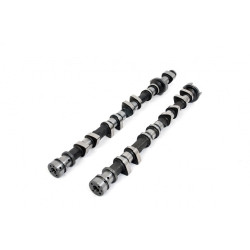 Piper Camshaft Ford 2.0L EcoBoost Rally