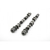 Piper Camshaft Ford 1.6L 16v TI-VCT Sigma Fast Road
