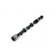 Engine parts Piper Camshaft Triumph 2.0/2.5 6-Cyl Mild Road | races-shop.com