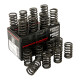Engine parts PIPER CAMS valve spring kit for Ford 2.0L EcoBoost (double) | races-shop.com
