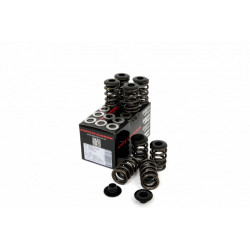 Piper Double Valve Springs Peu/Citr 1.6 8v XU5J/ 1.9 8v XU9J