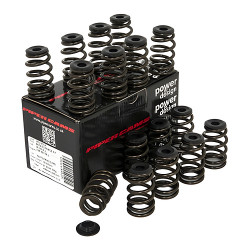 PIPER CAMS valve spring kit for Opel A20NFT (single)
