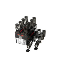 PIPER CAMS valve spring kit for Ford 1.6L EcoBoost (single)