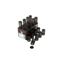 PIPER CAMS valve spring kit for Ford 2.3L EcoBoost (single)