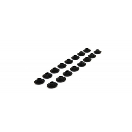 Engine parts Piper Spring Caps Nissan NISSAN MICRA 1.3 16v | races-shop.com