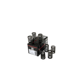 PIPER CAMS valve springs for Peugeot/Citroën 1.4L TU3 (alloy block, single)