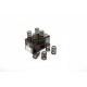 Engine parts Piper Single Valve Springs Renault 1.4L 8v 840 730 | races-shop.com