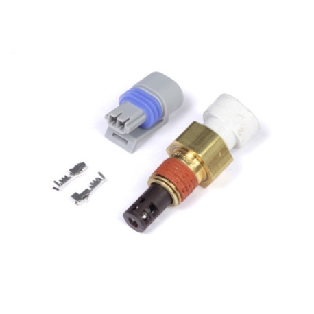 Motec Haltech Air Temp Sensor - Small Thread M14 x 1.5 | races-shop.com