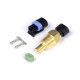Motec Haltech Coolant Temp Sensor - Large Thread 3/8 NPT 18TPI | races-shop.com