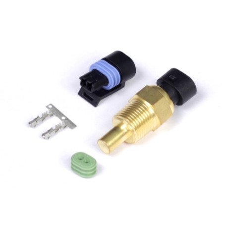 Motec Haltech Coolant Temp Sensor - Large Thread 3/8 NPT 18TPI | races-shop.com