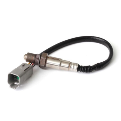 Motec Haltech Wideband O2 Sensor only - Bosch LSU 4.2 | races-shop.com