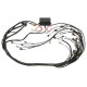 Haltech Haltech 6 Channel Flying Lead Ignition Harness | races-shop.com