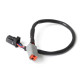 Haltech Haltech Elite CAN Cable DTM-4 - 8 pin Blk Tyco 300mm (12") | races-shop.com