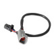Haltech Haltech CAN Ada Cable DTM-4 F to 8 pin Black Tyco 75mm (3") | races-shop.com