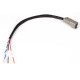 Motec Haltech CAN Adaptor Loom (DTM-4 to JST 5pin) Suits Link Plug | races-shop.com