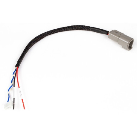 Motec Haltech CAN Adaptor Loom (DTM-4 to JST 5pin) Suits Link Plug | races-shop.com