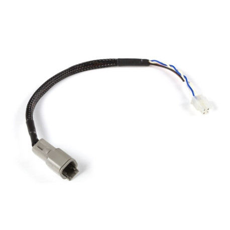 Motec Haltech CAN Adaptor Loom (DTM-4 to Minifit Jr) Suits Microte | races-shop.com