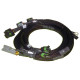 Motec Haltech 8 Chan High Output Ignition Coil Harn Only GM/Chrysl | races-shop.com