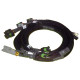 Haltech Haltech 8 channel High Output Ignition Coil Harn Only Ford | races-shop.com