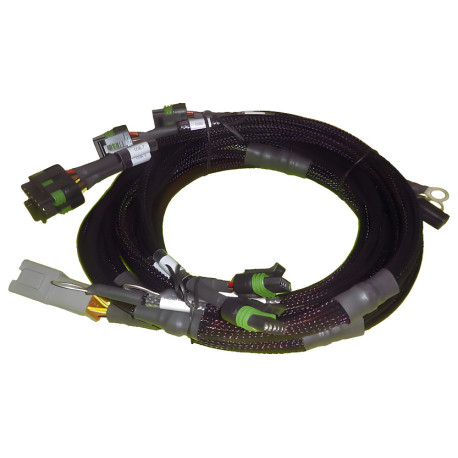 Haltech Haltech 8 channel High Output Ignition Coil Harn Only Ford | races-shop.com