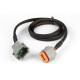 Haltech Haltech 6 Channel Ignition Extension Harness - 1200mm | races-shop.com