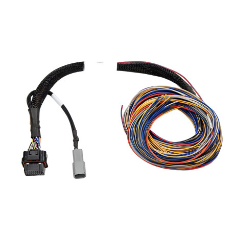 Haltech Haltech Elite PRO Direct Plug-in Auxiliary Flying Lead Harn | races-shop.com