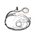 Haltech Haltech Elite 1000/1500 Maz 13B S6-8 Term Harn Only IGN-1A i | races-shop.com