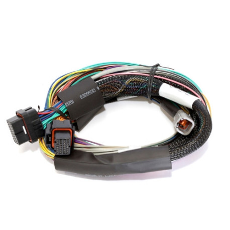 Motec Haltech Elite 1500 - 2.5m (8 ft) Basic Uni Wire-in Harn Only | races-shop.com