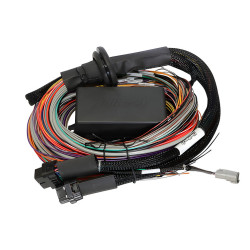 Haltech Elite 1500 2.5m (8 ft) Premium Uni Wire-in Harn Only