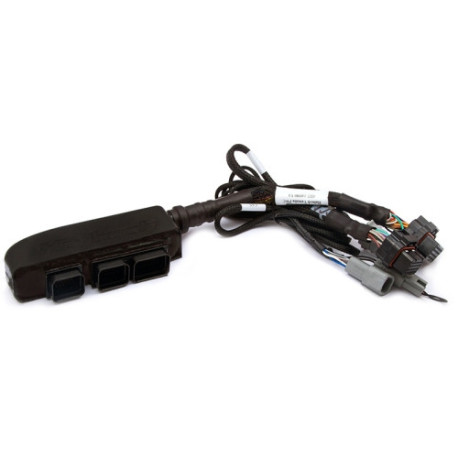 Haltech Haltech Elite 1500 PnP Ada Harn Only Yamaha WaveRunner | races-shop.com