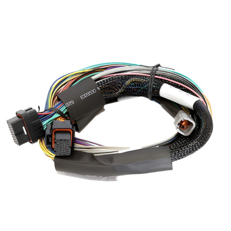 Haltech Haltech Elite 2500 - 2.5m (8 ft) Basic Uni Wire-in Harn Only | races-shop.com