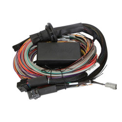 Haltech Elite 2500 - 2.5m (8 ft) Premium Uni Wire-in Harness