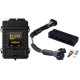 Haltech Haltech Elite 1500 Plug `n` Play Adap Harn ECU Kit Honda EP3 | races-shop.com