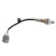 Haltech Haltech WB1 NTK Single Chan CAN O2 Wideband Controller Kit | races-shop.com