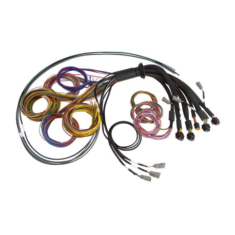 Haltech Haltech Nexus R5 Basic Universal Wire-In harness - 2.5M (8`) | races-shop.com