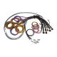 Haltech Haltech Nexus R5 Basic Universal Wire-In harness- 5M (16`) | races-shop.com