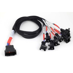 Haltech Nexus V8 Junior Timer (EV1)Secondary Injector Breako