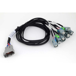 Haltech Nexus V8 GT150 (USCAR) Injector Primary Breakout