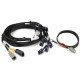 Motec Haltech Nexus V8 IGN-1A GM/Chrysler Harness | races-shop.com