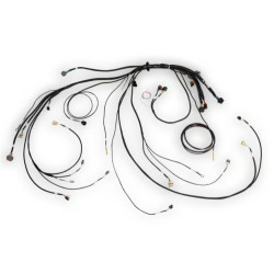 Haltech Nexus Rebel LS Terminated Harness for Rebel LS ECU
