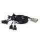 Haltech Haltech Nexus Rebel LS - LS EV1 Injector Sub Harness | races-shop.com