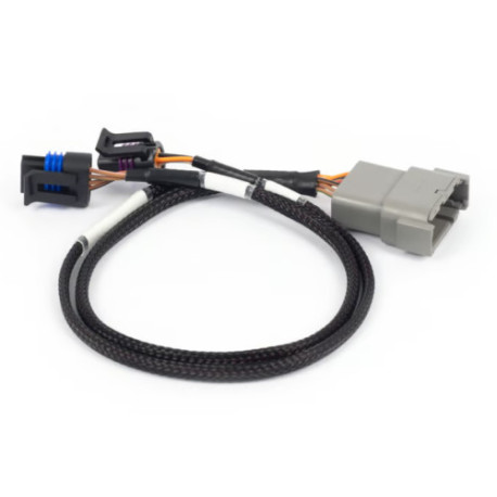 Haltech Haltech Nexus Rebel LS - Cable Throttle + IAC Sub Harness | races-shop.com