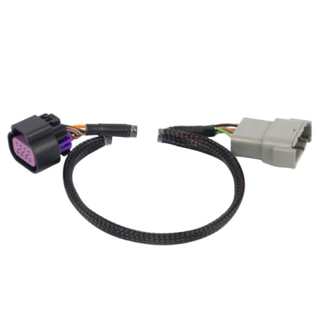 Haltech Haltech Nexus Rebel LS - 8-pin DBW Adaptor | races-shop.com