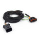 Haltech Haltech Nexus Rebel LS - Bosch Pedal Adaptor | races-shop.com