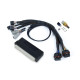 Haltech Haltech Nexus S2/S3 Plug `n` Play Adapter Harness Honda EP3 | races-shop.com