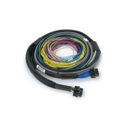 Haltech Nexus S3/S2 Universal Wire-In Harness 2.5M (8`)