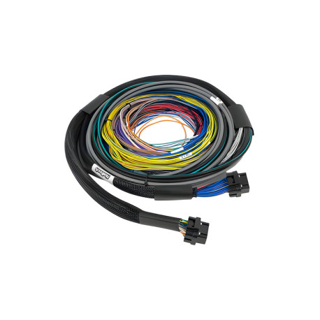Haltech Haltech Nexus S3/S2 Universal Wire-In Harness 2.5M (8`) | races-shop.com