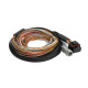 Haltech Haltech Nexus IO16 Universal Wire in Harness 2.6m (8.5`) | races-shop.com