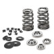 Engine parts SUPERTECH Valve Spring Kit Ford/Mazda 2.0L/2.3L Duratec/EcoB | races-shop.com
